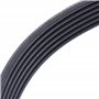 Continental Contitech 6PK1555 Courroie trapézoïdale à nervures