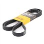 Continental Contitech 6PK2257 Courroie trapézoïdale à nervures