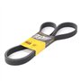 CONTITECH Courroie Poly-V Courroie d'accessoire 7PK1785
