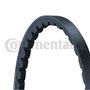 Continental Contitech AVX10X913 Courroie trapézoïdale