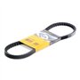 Continental Contitech AVX13X800 Courroie trapézoïdale