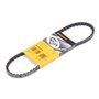 Continental Contitech AVX10X725 Courroie trapézoïdale