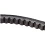 Continental Contitech AVX10X1013 Courroie trapézoïdale