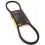 Continental Contitech AVX13X900 Courroie trapézoïdale