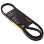 Continental Contitech AVX13X1050 Courroie trapézoïdale