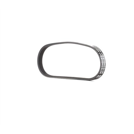 Continental Contitech 4PK611 ELAST Courroie trapézoïdale à nervures