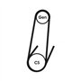 Continental Contitech 4PK611 ELAST Courroie trapézoïdale à nervures