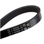 Continental Contitech 4PK611 ELAST Courroie trapézoïdale à nervures