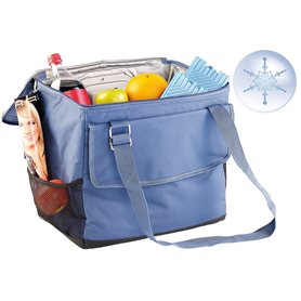 Xcase Sac Isotherme thermoélectrique 35 L