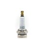 Champion 6980537 Champion L82C Spark Bug