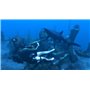 Tomb Raider Underworld - collection essentielles