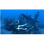 Tomb Raider Underworld - collection essentielles