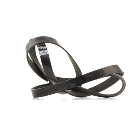 DAYCO 7PK2035S Courroie Accessoire