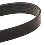 DAYCO 7PK2035S Courroie Accessoire, Noir