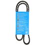 DAYCO 10A1100C Courroie Trapézoïdale