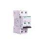 Schneider A9F05204 Disjoncteur iC60N 2P 4 A D Caractéristique Blanc