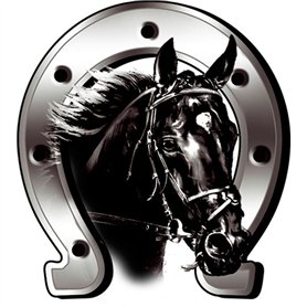 AUTOSTYLE Autocollant Horse + Horseshoe - 6x7cm
