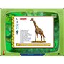 Atout clic CP-CE1-CE2