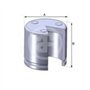 Autofren Seinsa D02551 Piston