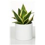 'Cache-pot en céramique "828 Panna bertopf Panna 19 cm 53656