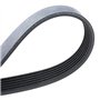 MEYLE Courroie Poly-V Courroie d'accessoire 050 006 2080