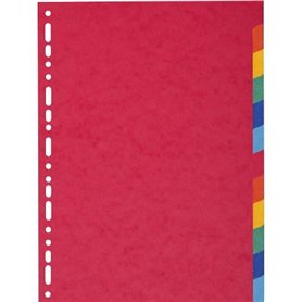 Exacompta 1412E Intercalaire A4 Carte Lustree 12 Positions - lot de 2