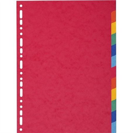 Exacompta 1412E Intercalaire A4 Carte Lustree 12 Positions - lot de 2