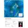 25 Feuilles
