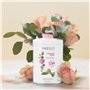 YARDLEY English Rose Talc parfumé 200 g