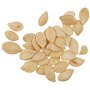 Semences horticoles de Batlle Citrouille Pâtisson blanc Peter Pan (6g)