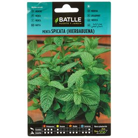 Graines aromatiques de Batlle - Menthe verte/Mentha spicata (0