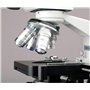 40X-2500X LED Digital Monoculaire Compound Microscope avec scène 3D