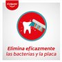 Colgate Zig Zag Lot de 3 brosses à dent Souple