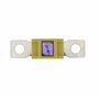 Restagraf - Assortiment de Fusible Méga - Protection Circuit Électrique de 100 à 250 A et 32 V - Pour l'Automobile et l'Industri