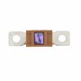 Restagraf - Assortiment de Fusible Méga - Protection Circuit Électrique de 100 à 250 A et 32 V - Pour l'Automobile et l'Industri