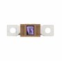 Restagraf - Assortiment de Fusible Méga - Protection Circuit Électrique de 100 à 250 A et 32 V - Pour l'Automobile et l'Industri