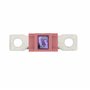 Restagraf - Assortiment de Fusible Méga - Protection Circuit Électrique de 100 à 250 A et 32 V - Pour l'Automobile et l'Industri