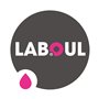 LABOUL Seau à glaçons Isotherme IceBoul