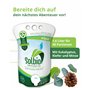 Solbio Original XL 1.6L