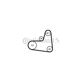 CONTITECH Jeu de courroies trapézoïdales à nervures 6PK995K1 Poulie de tension compris