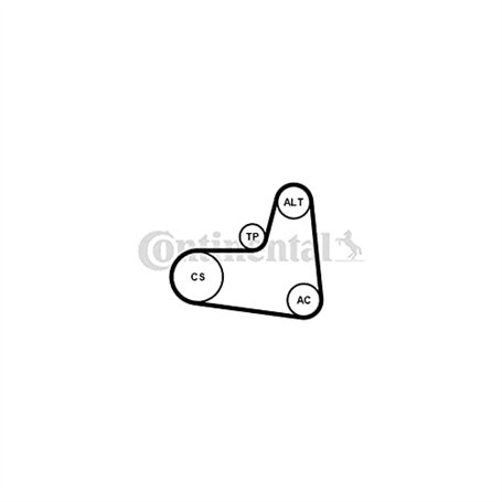 CONTITECH Jeu de courroies trapézoïdales à nervures 6PK995K1 Poulie de tension compris