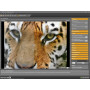Photomizer 3 Premium - Logiciel de traitement d’images – Optimisation et réparation des photos numériques
