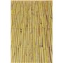 Faura 10002 Canisse Refendue