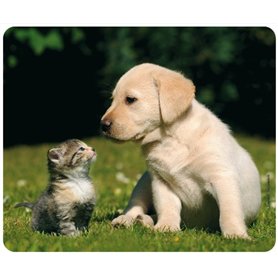 CHAT ET CHIEN Tapis de souris (24 x 19 cm) en caoutchouc spécial extrêmement résistant à la déchirure avec une face inférieure f