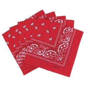 Lot de 5 bandanas paisley rouges