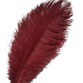 Sowder Lot de 10 plumes d’autruche pour décoration d'intérieur