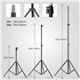 Kit Studio Photo et éclairage, Abeatstudio 2m x 3m Système de Support de Toile de Fond, 2X 135W Ampoule Parapluie Softbox éclair