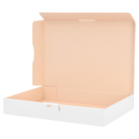 verpacking 100 boîtes postales carton plates 32 x 22