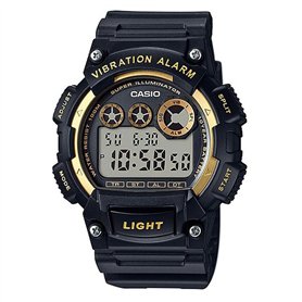 Casio Chaîne de Montre de Poche I101
