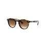 Marron (Shiny Havana/Brown Gradient)
